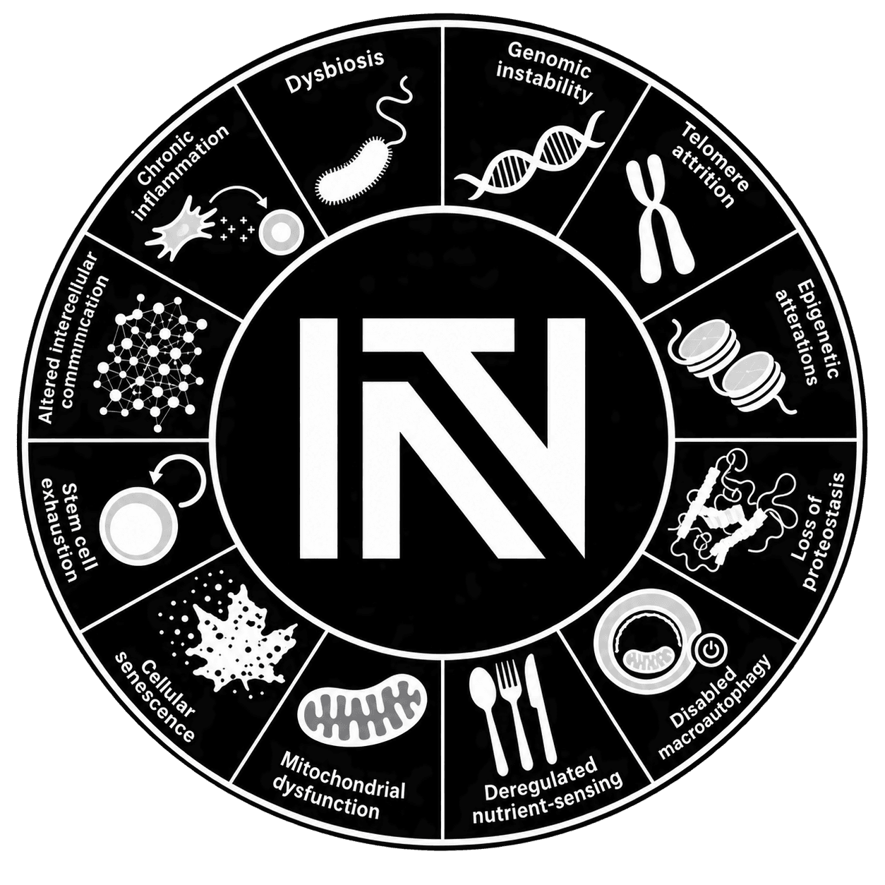 Intrepid Innovations Labs longevity emblem